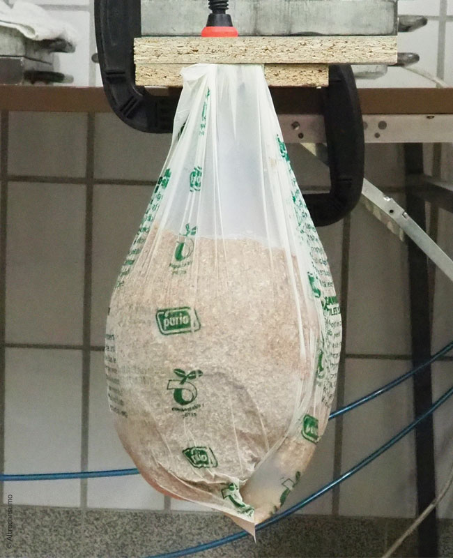 sacchetto dell'umido